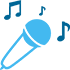Wired Microphone